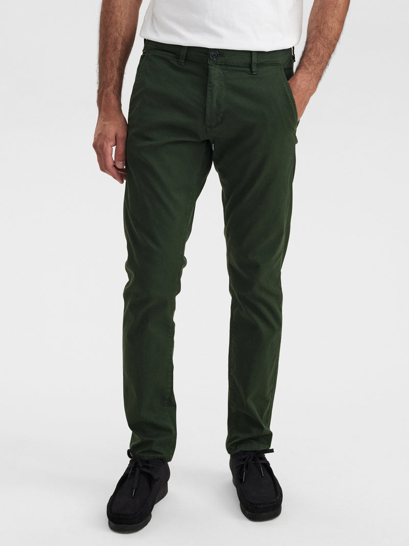 GABBA Dark Green Slim Fit Chino