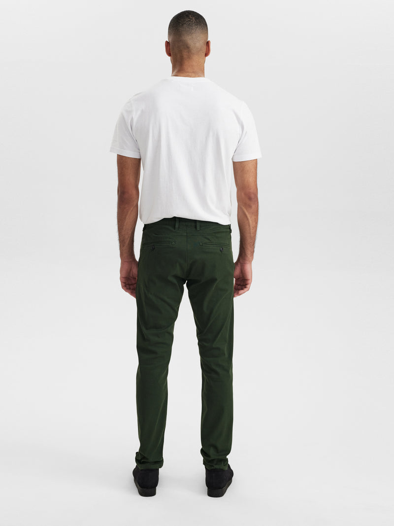 GABBA Dark Green Slim Fit Chino